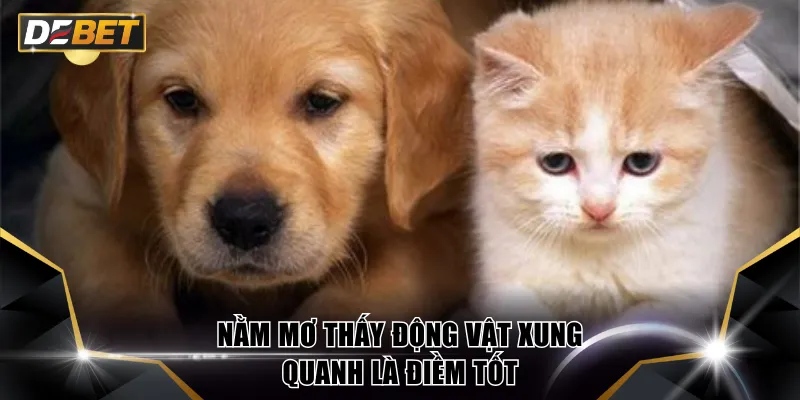 Giải Mã Giấc Mơ DEBET - Dấu Hiệu Nhận Biết Đề Về Hiệu Quả 3 Nằm mơ thấy động vật xung quanh là điềm tốt